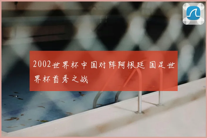 2002世界杯中国对阵阿根廷 国足世界杯首秀之战